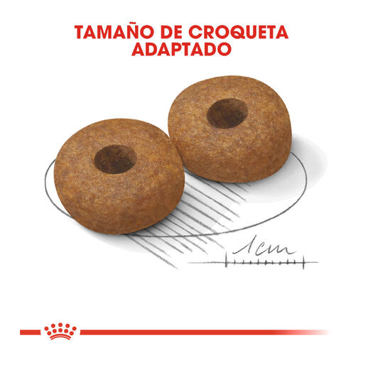 Royal Canin Medium 10+ Ageing pienso para perros, , large image number null